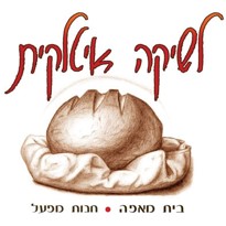 תמונה15