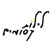תמונה30